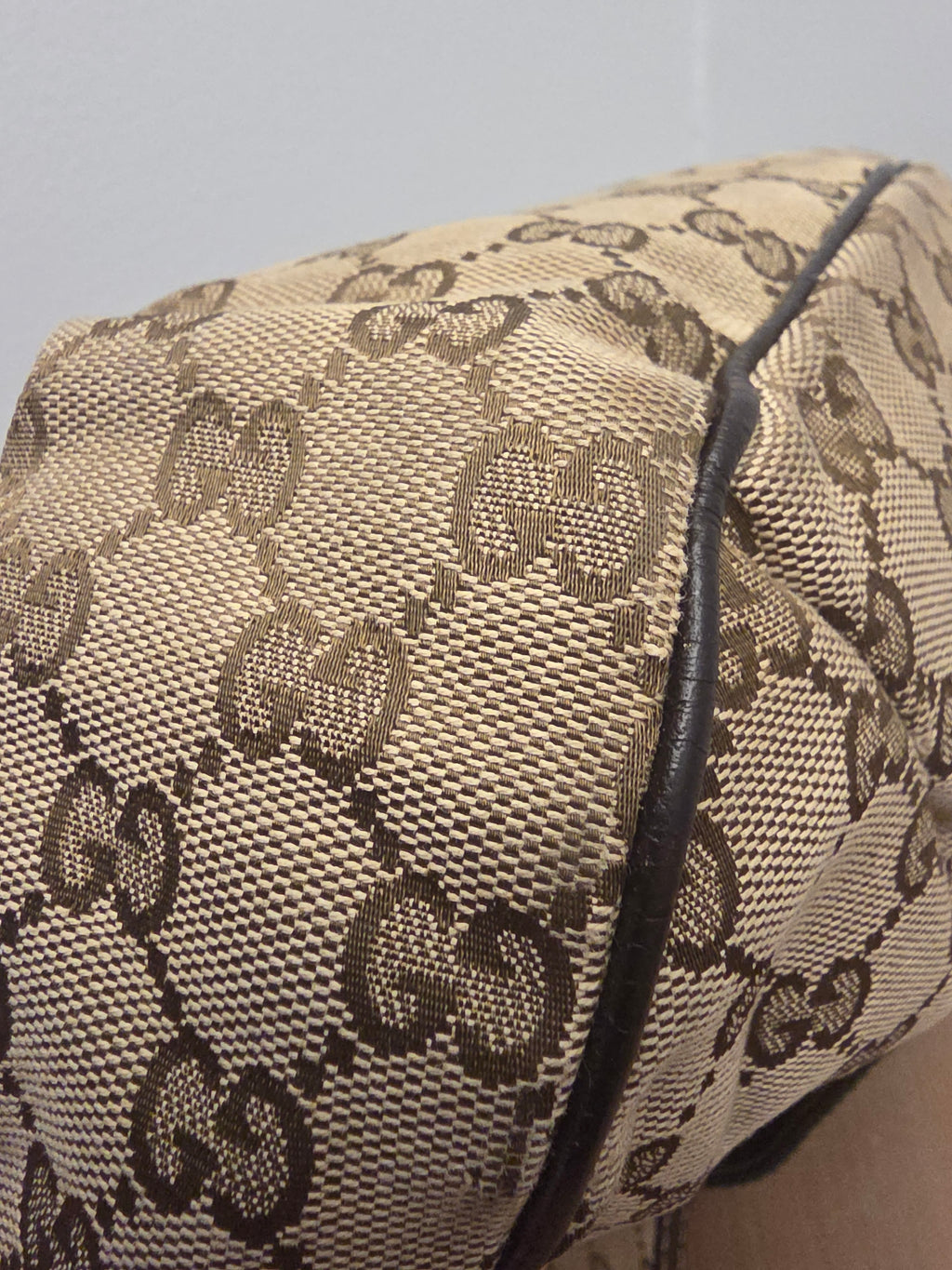 Gucci GG Canvas New Ladies Web Hobo