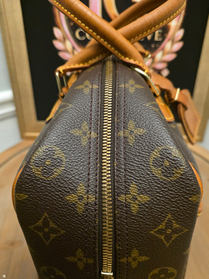 Louis Vuitton Monogram Sac Chien 40 Pet Carrier Travel Bag Dog Carrier France