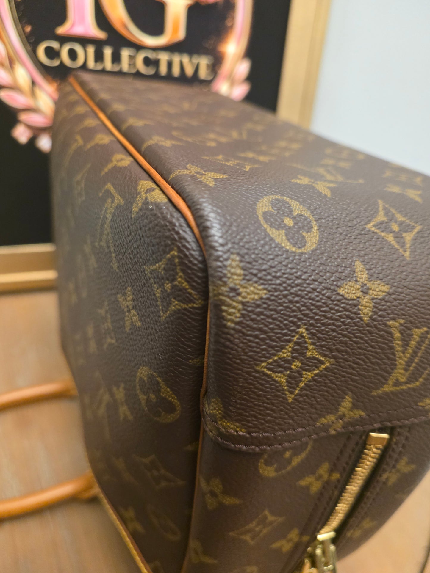 Louis Vuitton Monogram Sac Chien 40 Pet Carrier Travel Bag Dog Carrier France