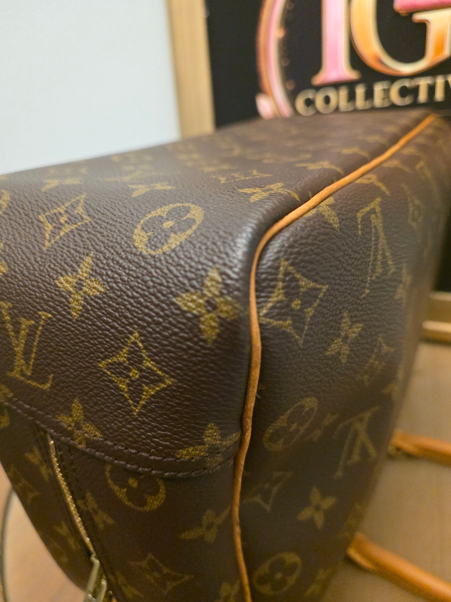 Louis Vuitton Monogram Sac Chien 40 Pet Carrier Travel Bag Dog Carrier France