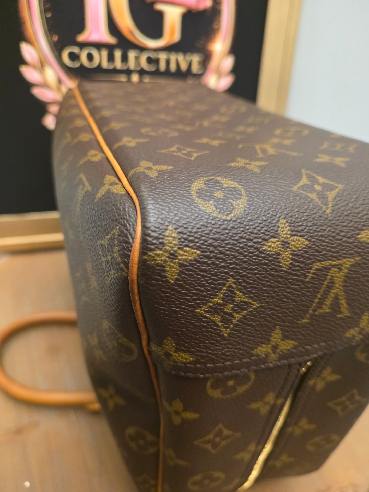 Louis Vuitton Monogram Sac Chien 40 Pet Carrier Travel Bag Dog Carrier France