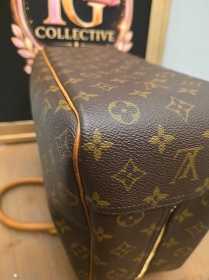 Louis Vuitton Monogram Sac Chien 40 Pet Carrier Travel Bag Dog Carrier France