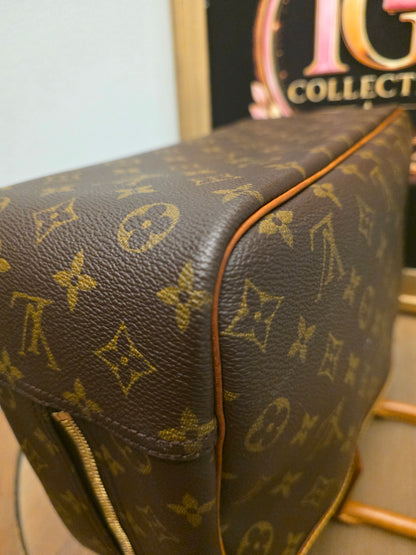 Louis Vuitton Monogram Sac Chien 40 Pet Carrier Travel Bag Dog Carrier France