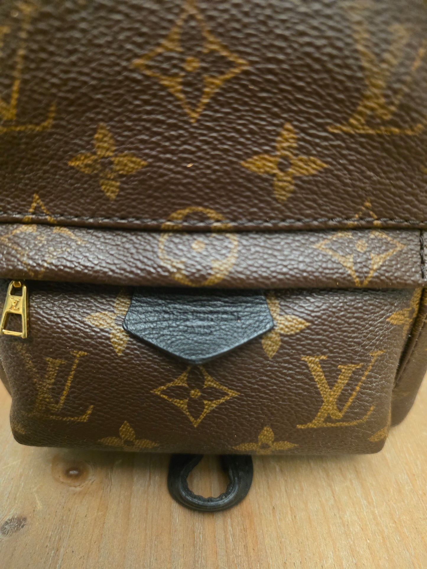 Authentic Louis Vuitton Palm Springs Mini Monogram Backpack